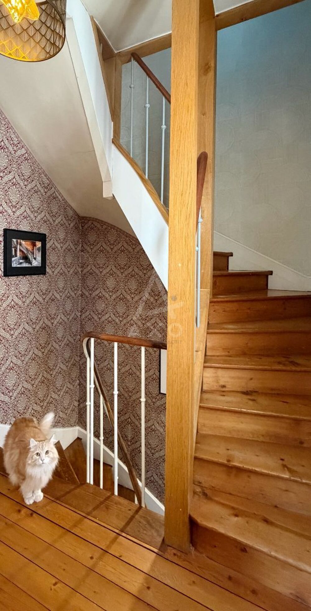 Vente Maison Maison Magenta