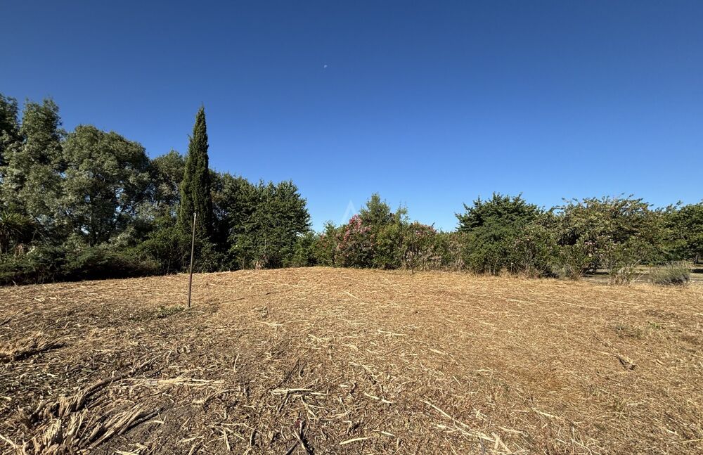 Vente Terrain Terrain constructible Villeneuve-les-bouloc