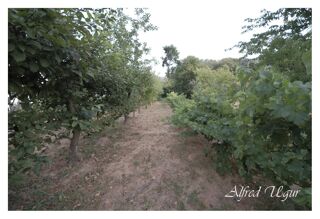  Terrain à vendre 1560 m²