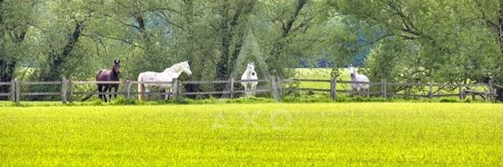 Propriété