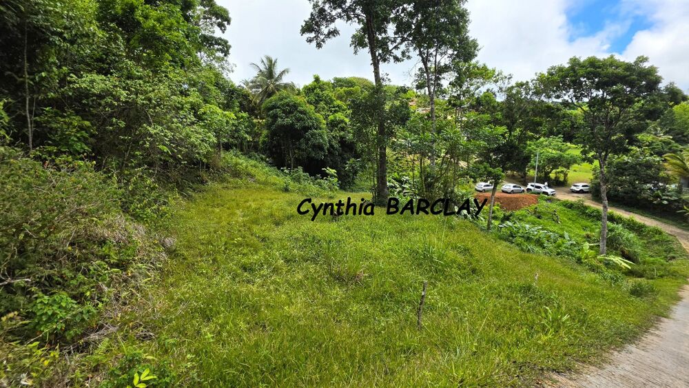 Vente Terrain Terrain constructible Sainte luce