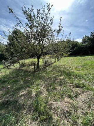  Maison � vendre 4 pi�ces 80 m�