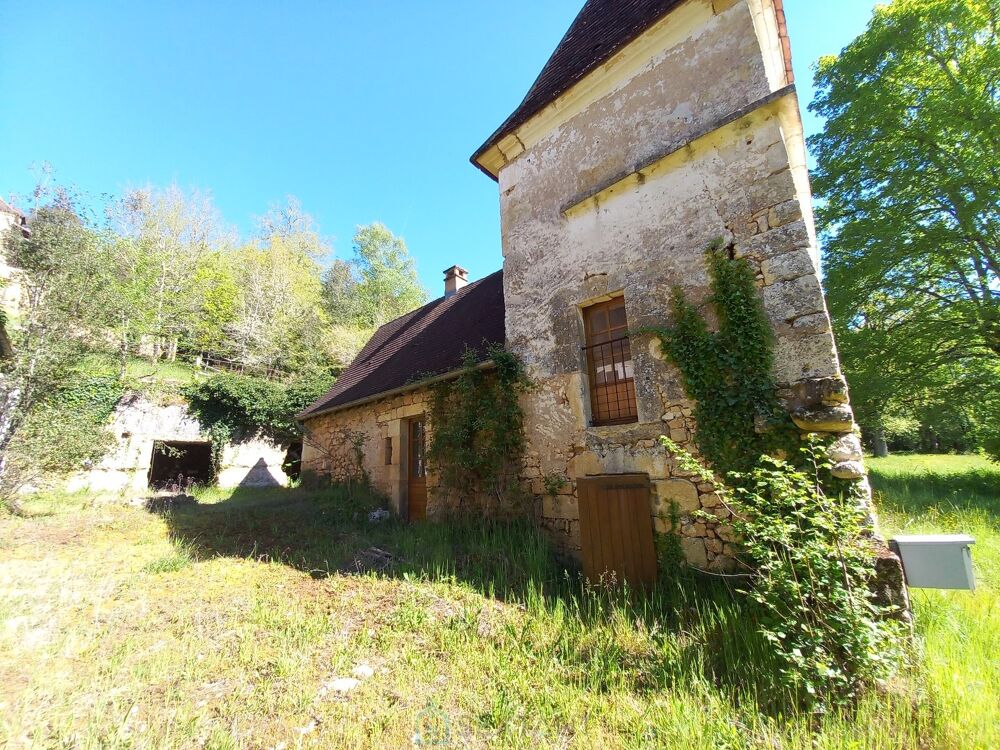 à vendre  Maison Saint-Léon-sur-Vézère (24290)