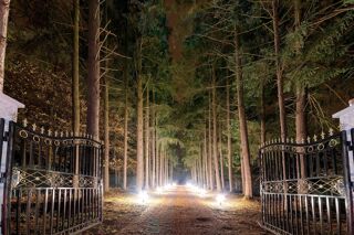  Villa � vendre 15 + pi�ces 800 m�