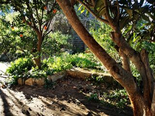  Appartement � vendre 2 pi�ces 55 m�