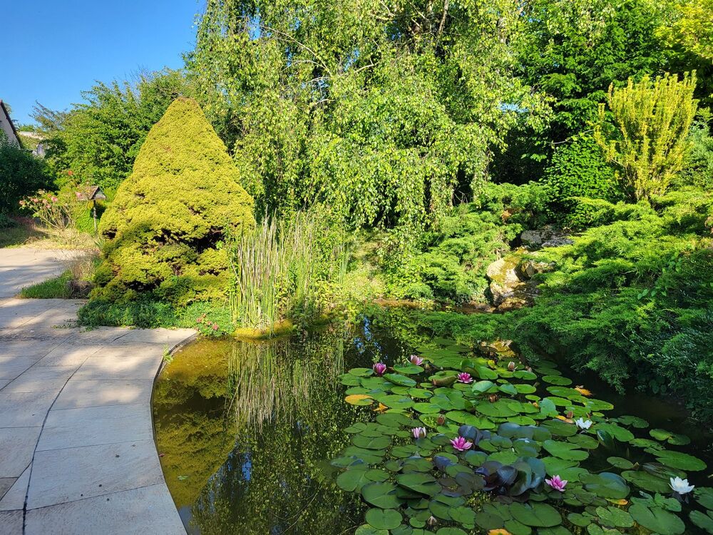 � vendre  Maison �pernay (51200)