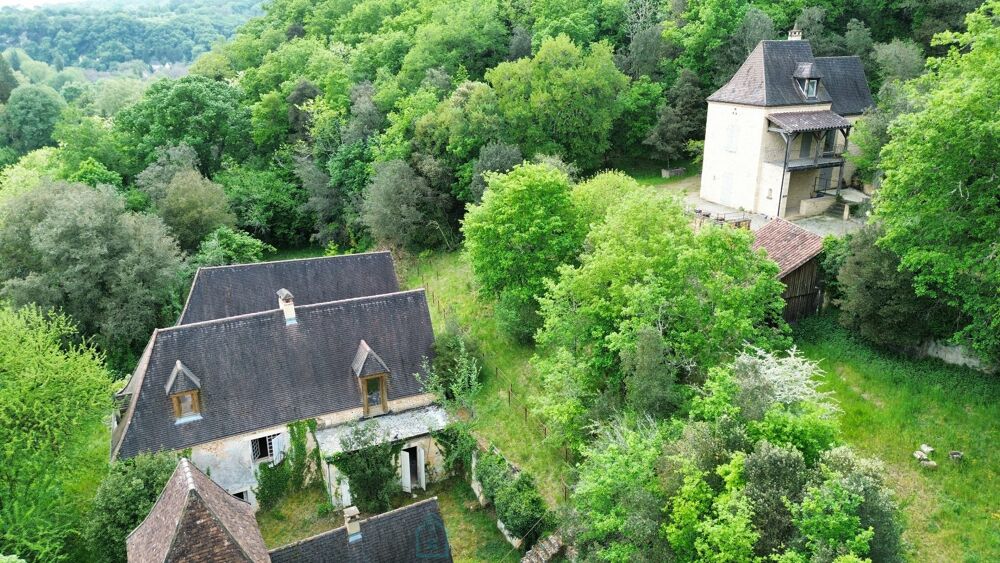 Vente Maison Demeure Saint leon sur vezere