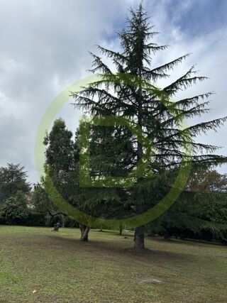  Terrain � vendre 1500 m�