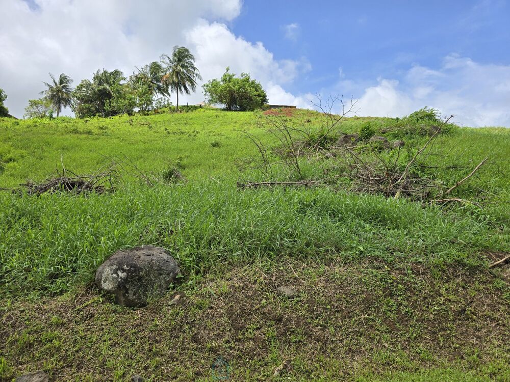 Vente Terrain Terrain Le lamentin