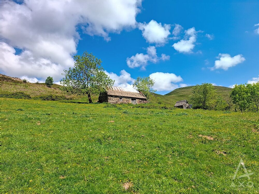 Vente Maison Grange Saint pastous