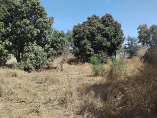  Terrain � vendre 1000 m� Ngaparou