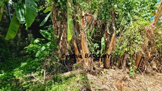  Maison � vendre 3 pi�ces 58 m�