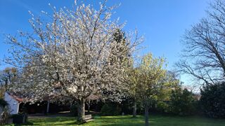  Maison � vendre 12 pi�ces 320 m�