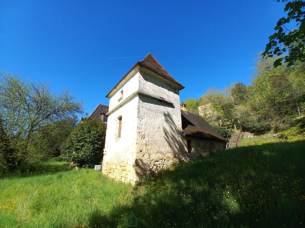 à vendre  Maison Saint-Léon-sur-Vézère (24290)