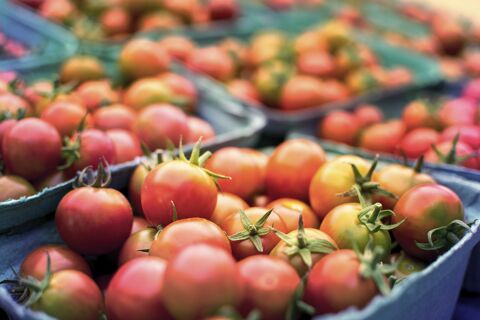   Primeur - Epicerie 