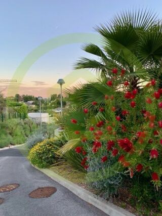  Appartement � vendre 2 pi�ces 45 m�