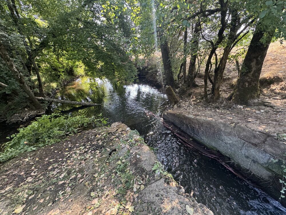 Vente Maison Propriété pieds dans l'eau Saint hilaire sur benaize