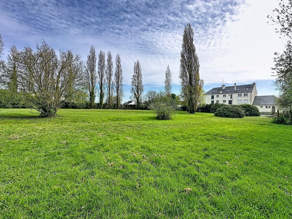 Vente Terrain Terrain Allaire