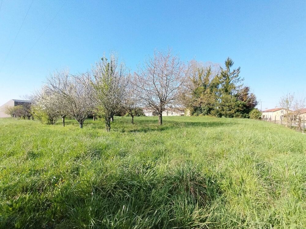 Vente Terrain Terrain Saint maigrin