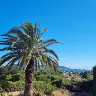  Terrain  vendre 1210 m