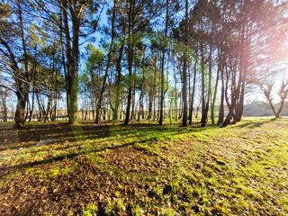  Terrain � vendre 3390 m�