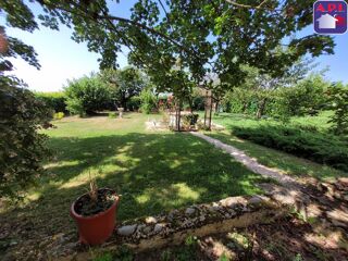  Appartement à louer 1 pièce 20 m²