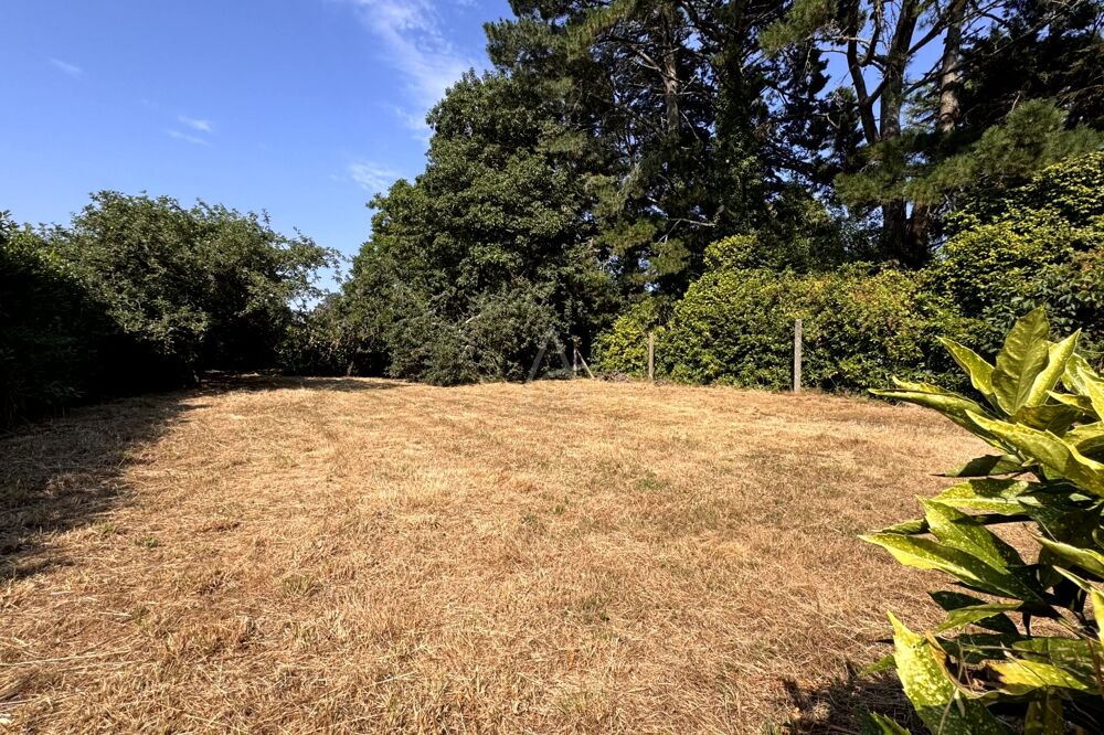 Vente Terrain Terrain Plumergat