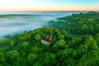  Propri�t�/ch�teau � vendre 15 + pi�ces 550 m�