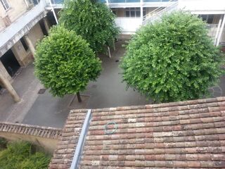  Appartement à louer 1 pièce 