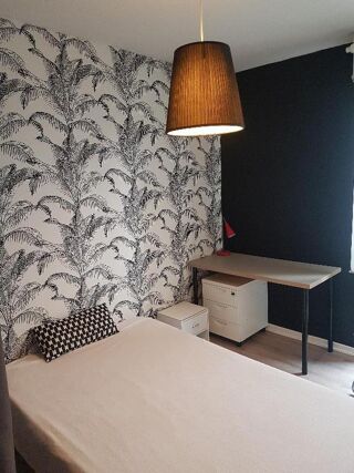  Appartement à louer 1 pièce 