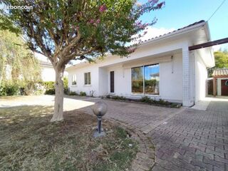  Appartement � louer 1 pi�ce 