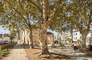  Appartement à louer 5 pièces 100 m² Bordeaux