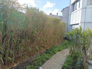  Appartement � louer 3 pi�ces 