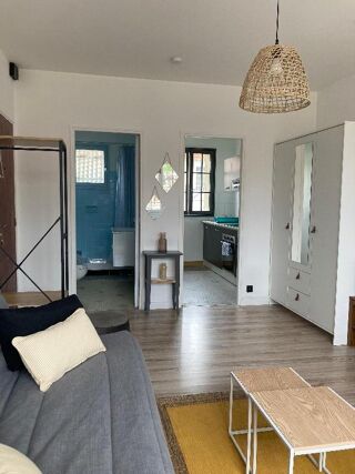  Appartement à louer 1 pièce 30 m²