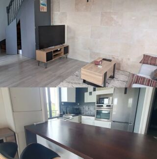  Appartement à louer 1 pièce 