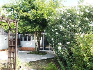  Appartement à louer 1 pièce 11 m²