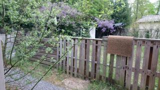  Appartement à louer 2 pièces 36 m²