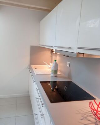  Appartement à louer 1 pièce 30 m²
