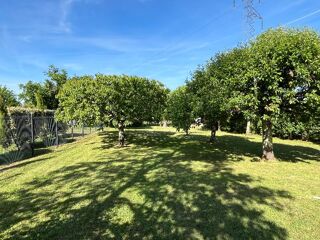  Maison � louer 3 pi�ces 
