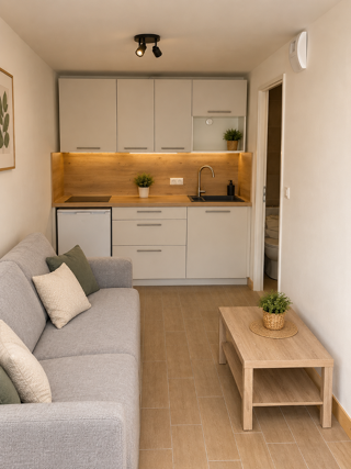  Appartement à louer 2 pièces 23 m²