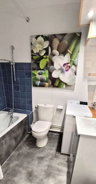  Appartement � louer 1 pi�ce 