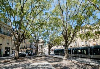  Appartement � louer 2 pi�ces 