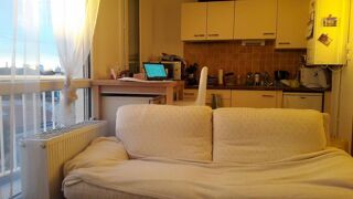  Appartement à louer 1 pièce 28 m²