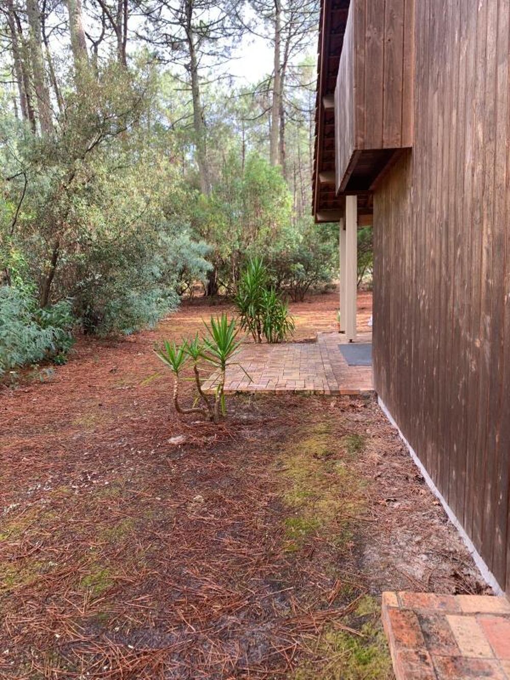 Location Maison Maison/Villa T4 Lacanau