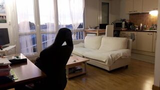  Appartement à louer 1 pièce 28 m²
