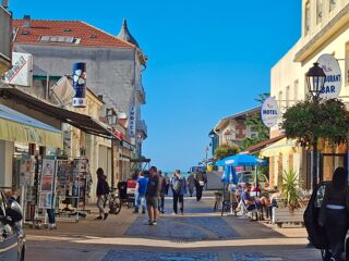  Appartement � louer 1 pi�ce 