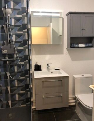  Appartement à louer 1 pièce 