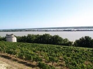  Maison � louer 3 pi�ces 