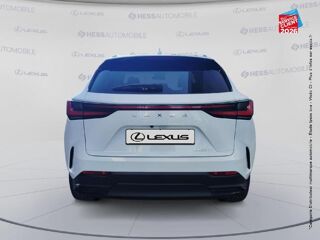 NX 350h 200ch Luxe Plus 2WD MY26 2026 occasion 67460 Souffelweyersheim