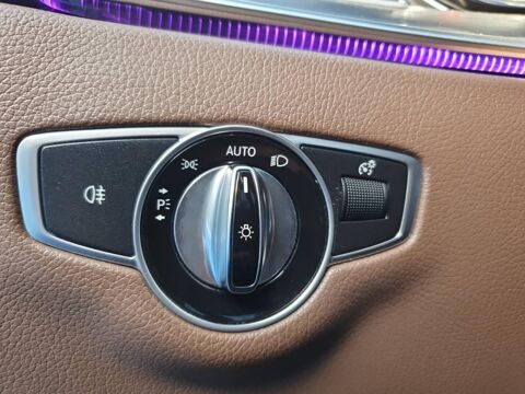 Classe E 220 d 194ch 4Matic 9G-Tronic Euro6d-T 2017 occasion 56400 Brech